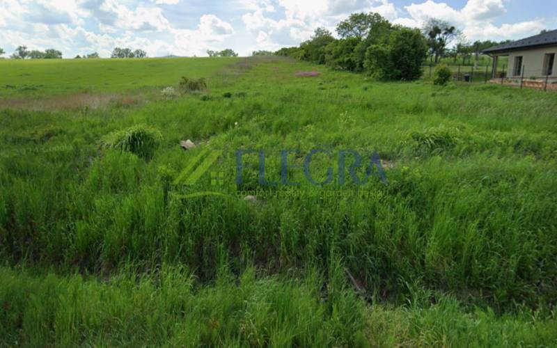 Snímka obrazovky (541).png