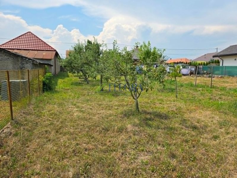 c2189ba7-73e6-4984-ab27-25eacd6ef244.jpg