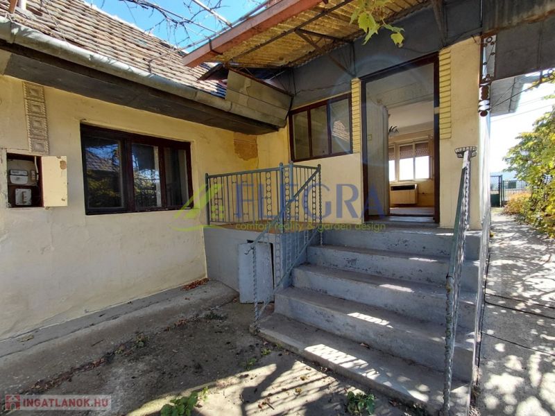 5RN1uKn-xpSMW0gfDAGs9TRO9hgnGyL-.jpg